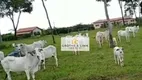 Foto 6 de Fazenda/Sítio à venda, 900m² em Zona Rural, Cocalinho