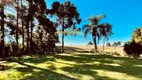 Foto 51 de Fazenda/Sítio à venda, 145000m² em Butiatuva, Campo Largo