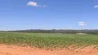 Foto 19 de Fazenda/Sítio com 3 Quartos à venda, 18600000m² em Zona Rural, Catalão