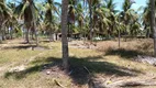 Foto 12 de Fazenda/Sítio com 3 Quartos à venda, 42520m² em Patacas, Aquiraz