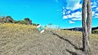 Foto 19 de Fazenda/Sítio com 5 Quartos à venda, 10m² em Zona Rural, Simão Pereira