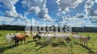 Foto 2 de Fazenda/Sítio à venda, 121000000m² em Area Rural de Uberlandia, Uberlândia