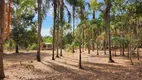 Foto 25 de Fazenda/Sítio com 3 Quartos à venda, 192000m² em Centro, Hidrolândia