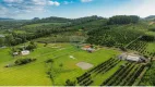 Foto 11 de Lote/Terreno à venda, 4000m² em Area Rural de Montenegro, Montenegro