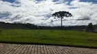 Foto 6 de Lote/Terreno à venda, 5750m² em Rondinha, Campo Largo