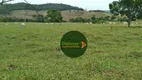 Foto 15 de Fazenda/Sítio à venda, 20812000m² em Zona Rural, Rubiataba