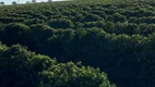 Foto 6 de Fazenda/Sítio à venda em Zona Rural, Monte Alegre de Minas