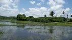 Foto 6 de Fazenda/Sítio com 3 Quartos à venda, 160000m² em Centro, Ceará Mirim