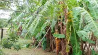 Foto 10 de Fazenda/Sítio com 5 Quartos à venda, 700m² em Itaipava, Itajaí