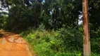 Foto 17 de Fazenda/Sítio com 1 Quarto à venda, 5000m² em Campestre da Faxina, São José dos Pinhais