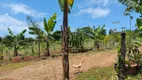 Foto 23 de Fazenda/Sítio com 3 Quartos à venda, 5000m² em Usina Três Bocas, Londrina