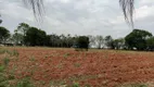 Foto 20 de Fazenda/Sítio com 3 Quartos à venda, 24000m² em Zona Rural, Limeira