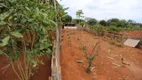 Foto 41 de Fazenda/Sítio com 2 Quartos à venda, 15000m² em Area Rural de Planaltina, Planaltina