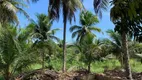 Foto 6 de Fazenda/Sítio com 3 Quartos à venda, 40000m² em Centro, 