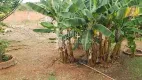 Foto 17 de Fazenda/Sítio com 3 Quartos à venda, 2000m² em Chacara Recanto dos Aracas, Montes Claros