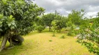 Foto 9 de Fazenda/Sítio com 5 Quartos à venda, 6000m² em Moura, Canelinha