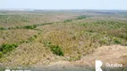 Foto 9 de Fazenda/Sítio para alugar, 460m² em Zona Rural, Lagoa do Tocantins