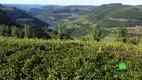 Foto 6 de Fazenda/Sítio à venda, 120000m² em Zona Rural, Monte Belo do Sul