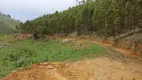 Foto 2 de Fazenda/Sítio à venda, 14000m² em Zona Rural, Paraibuna