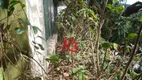 Foto 8 de Lote/Terreno à venda, 994m² em Ilha Porchat, São Vicente