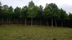 Foto 33 de Fazenda/Sítio à venda, 2667082m² em Zona Rural, Botucatu