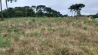 Foto 5 de Fazenda/Sítio com 1 Quarto à venda, 6000m² em Campo Largo da Roseira, São José dos Pinhais