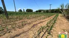 Foto 12 de Fazenda/Sítio com 4 Quartos à venda, 193600m² em Zona Rural, Pirenópolis