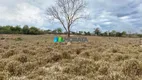 Foto 9 de Fazenda/Sítio com 1 Quarto à venda, 275m² em Rural, Curvelo