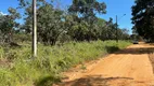 Foto 3 de Fazenda/Sítio com 1 Quarto à venda, 5500m² em Quinta dos Sonhos, Abadia de Goiás