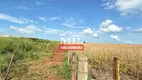 Foto 14 de Fazenda/Sítio à venda em Zona Rural, Itumbiara