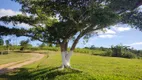 Foto 8 de Fazenda/Sítio com 6 Quartos à venda, 500m² em , Morro Redondo