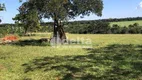 Foto 15 de Fazenda/Sítio com 2 Quartos à venda, 20000m² em Area Rural de Uberlandia, Uberlândia