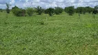 Foto 2 de Fazenda/Sítio com 3 Quartos à venda, 45000m² em Centro, Jandaíra