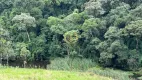 Foto 15 de Fazenda/Sítio com 4 Quartos à venda, 24870m² em Borda do Campo, São José dos Pinhais