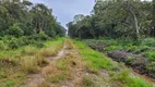 Foto 5 de Lote/Terreno à venda, 1250m² em Praia do Ervino, São Francisco do Sul