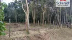 Foto 27 de Lote/Terreno à venda, 300m² em Campestre, São Leopoldo