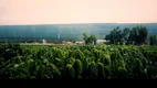 Foto 5 de Fazenda/Sítio à venda em Zona Rural, Belo Horizonte