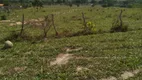 Foto 8 de Fazenda/Sítio à venda em Zona Rural, Heitoraí