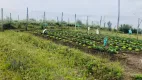 Foto 14 de Fazenda/Sítio com 2 Quartos à venda, 26000000m² em Rincao da Cruz, Pelotas