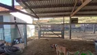 Foto 4 de Fazenda/Sítio com 3 Quartos à venda, 22m² em Zona Rural, Perdizes