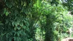 Foto 4 de Lote/Terreno à venda em Engenho do Mato, Niterói