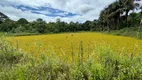 Foto 46 de Fazenda/Sítio com 4 Quartos à venda, 600m² em Jockey Camping, Uberlândia