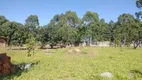 Foto 15 de Fazenda/Sítio com 3 Quartos à venda, 140m² em Zona Rural, Aragoiânia