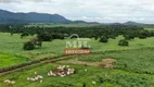 Foto 38 de Fazenda/Sítio à venda em Zona Rural, Porangatu