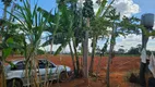 Foto 18 de Fazenda/Sítio com 3 Quartos à venda, 90m² em , Bela Vista de Goiás