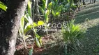 Foto 4 de Fazenda/Sítio com 4 Quartos à venda, 5000m² em Chácaras Eldorado, Uberlândia