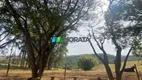 Foto 20 de Fazenda/Sítio com 3 Quartos à venda, 82m² em Zona Rural, Bambuí