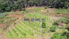 Foto 3 de Fazenda/Sítio com 3 Quartos à venda, 20000m² em Campo do Coelho, Nova Friburgo