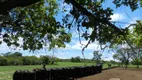 Foto 8 de Fazenda/Sítio com 3 Quartos à venda, 400m² em Centro, Miracema do Tocantins