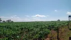 Foto 55 de Fazenda/Sítio com 3 Quartos à venda, 150m² em Zona Rural, Pilar do Sul